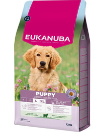 EUKANUBA Puppy Large Breeds Lamb Rice 12 kg krmivo pro štěňata velkých plemen bohaté na jehněčí maso a rýži