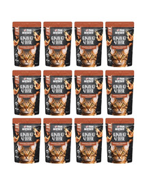 PAN MIĘSKO telecí kousky s jelenem v omáčce pro kočky 12x85 g