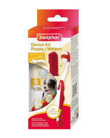 BEAPHAR Puppy Dental Kit zubní kartáček a pasta na zuby 50 g pro štěňata