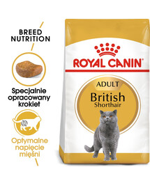 ROYAL CANIN British Shorthair krmivo pro dospělé Britské krátkosrsté kočky 3 x 400 g