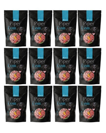 DOLINA NOTECI Piper pro psy s jehněčím masem a mrkví 12x500 g