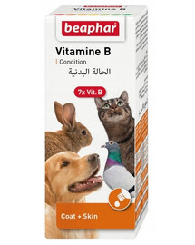 BEAPHAR Vitamínový komplex B Sada vitamínů B 50 ml
