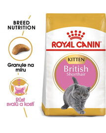 ROYAL CANIN Kitten british shorthair 4x2 kg krmivo pro koťata, do 12 měsíců, plemeno Britská krátkosrstá kočka