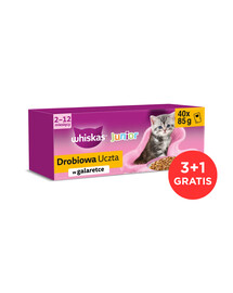 WHISKAS Junior Drůbeží mix 120x85g 120x85g krmivo s kuřecím, kachním, drůbežím a krůtím masem v želé pro koťata + 40 kapsiček ZDARMA
