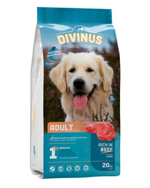 DIVINUS Dog Adult 20 kg granule pro dospělé psy