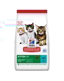 Science Plan Kitten z tuńczykiem 7 kg sucha karma dla kociąt