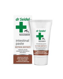 DR SEIDEL Intestinal Pasta na střevní potíže 40g