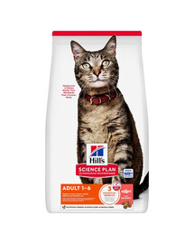 HILL'S Science Plan Feline Adult Salmon 10 kg krmivo s lososem pro dospělé kočky