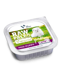 RAW PALEO Pate Lamb Mini Puppy 150g jehněčí paštika pro štěňata malých plemen
