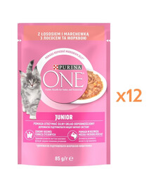PURINA ONE Junior Cat Losos a mrkev 12x85g krmivo pro koťata