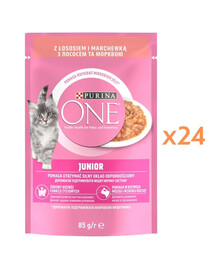 PURINA ONE Junior Cat Losos a mrkev 24x85g krmivo pro koťata