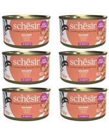 SCHESIR Losos ve vývaru pro kočky 6x85 g