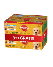 PEDIGREE Junior Výběr příchutí s rýží sáčky 4 x 40x100 g kompletní mokré krmivo pro štěňata kousky v želé 3+1 ZDARMA