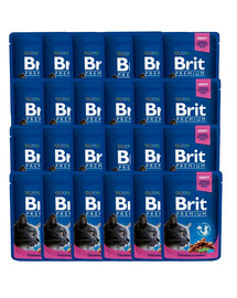 BRIT Premium Adult Mix příchutí 48x100 g kapsičky s kuřecím a krůtím masem a treskou pro kočky