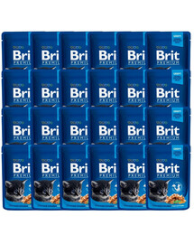 Premium Kitten kurczak dla kociąt saszetka 24 x 100 g