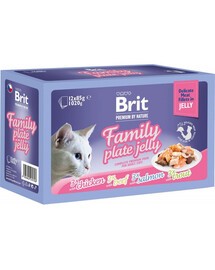 BRIT Premium by Nature Family Plate Delicate Fillets in Jelly 24 sáčků v želé pro kočky 85 g