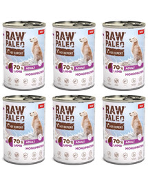 RAW PALEO Monoprotein Lamb Adult 6x400g jehněčí, krmivo pro psy