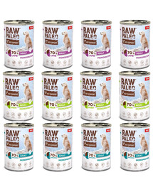 RAW PALEO Monoprotein Adult 12x400g  Mix chutí, krmivo pro psy