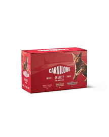CARNILOVE Cat Pouch Jelly Multipack 12x85 g sada filetů v želé pro dospělé kočky