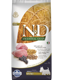 FARMINA N&D Ancestral Grain lamb & blueberry Adult Mini dog 7 kg krmivo pro psy malých plemen + FARMINA N&D Quinoa Dental Treat Flatulence Mini 60 g (7 ks) ZDARMA!