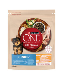 PURINA ONE Junior Mini Small Chicken with Rice 800g bohaté na kuře a rýži, suché krmivo pro štěňata