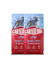 CARNILOVE Active Dog Salmon & Turkey 2x12 kg Junior Large Breeds losos a krůta, pro rostoucí mladá velká plemena