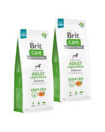 BRIT Care Grain-free Adult Large Breed Salmon 2 x 12 kg bezobilné krmivo pro velké psy s lososem
