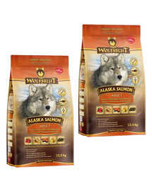 WOLFSBLUT Suché krmivo pro dospělé psy s lososem a bramborami Alaska Salmon 25 kg (2 x 12,5 kg)