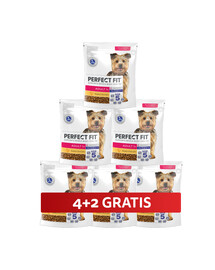 PERFECT FIT Adult 1+ kompletní krmivo pro dospělé psy malých plemen, bohaté na kuřecí maso 6 x 825 g 4+2 ZDARMA