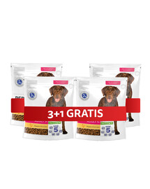 PERFECT FIT Adult 1+ kompletní krmivo pro dospělé psy velkých plemen, bohaté na kuřecí maso 4 x 825 g 3+1 ZDARMA