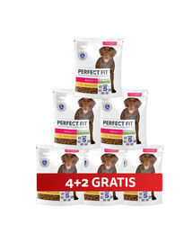 PERFECT FIT Adult 1+ kompletní krmivo pro dospělé psy velkých plemen, bohaté na kuřecí maso 6 x 825 g 4+2 ZDARMA