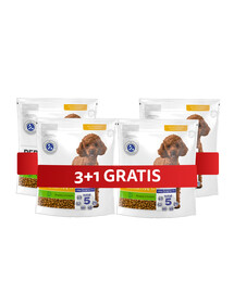PERFECT FIT Sensitive 1+ kompletní krmivo pro dospělé psy malých plemen, bohaté na krůtí maso 4 x 825 g 3+1 ZDARMA