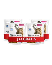 PERFECT FIT Adult 1+ 4 x 750 g Kompletní krmivo pro dospělé kočky bohaté na čerstvého lososa 3+1 ZDARMA