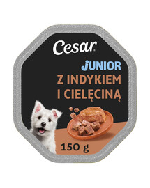 CESAR Junior s krůtou a telecím masem 150g mokré krmivo pro štěňata