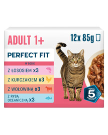 PERFECT FIT Adult 1+ Mix Příchutí 12 x 85g krmivo pro dospělé kočky