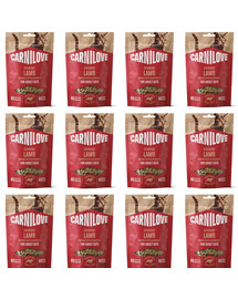 CARNILOVE Crunchy Snack Cat Lamb 12x50 g s jehněčím masem a ostružinami, křupavá pochoutka pro kočky