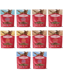 CARNILOVE Dog Crunchy Snack Mix příchutí 10x200g křupavé pamlsky pro dospělé psy