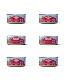 CARNILOVE Cat Can Paté Turkey and Salmon for Kittens 6x100 g s krůtím a lososem, paštika pro koťata