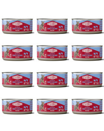 CARNILOVE Cat Can Paté Turkey and Salmon for Kittens 12x100 g s krůtím a lososem, paštika pro koťata