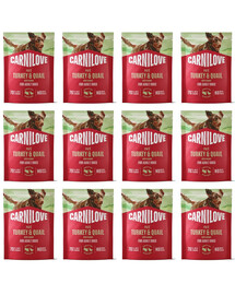 CARNILOVE Dog Pouch Turkey & Quail 12x300g mokré krmivo s krůtou a křepelkou pro dospělé psy