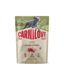 CARNILOVE True Fresh Dog Duck Junior Large 1,5 kg sucha karma ze świeżą kaczką dla juniorów dużych ras