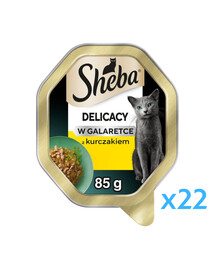 SHEBA Delikatesy s kuřetem v želé 22 x 85 g mokré krmivo pro kočky