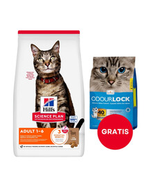 HILL'S Science Plan Feline Adult s jehněčím 10 kg pro dospělé kočky s jehněčím + 6 kg steliva pro kočky ZDARMA