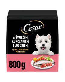 CESAR Adult s kuřecím masem a lososem 800g suché krmivo pro psy