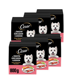 CESAR Adult s kuřetem a lososem 6x800g krmivo pro psy