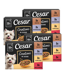 CESAR Creations Mix Chutí (hovězí, kuřecí, jehněčí, krůtí) v omáčce 48 x 100g krmivo pro dospělé psy