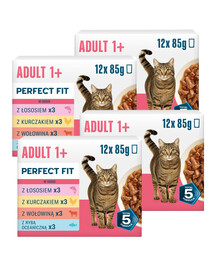 PERFECT FIT Adult 1+ Mix Příchutí 48 x 85g krmivo pro dospělé kočky