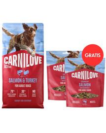 CARNILOVE Active Dog Salmon & Turkey Adult 12 kg granule s lososem a krůtím masem pro aktivní psy + CARNILOVE Dog Crunchy Snack Losos 2x200g ZDARMA