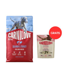 CARNILOVE Active Dog Salmon & Turkey Adult Large Breeds 4 kg losos a krůta pro psy velkých plemen + CARNILOVE Dog Freeze Dried Turkey 60g ZDARMA