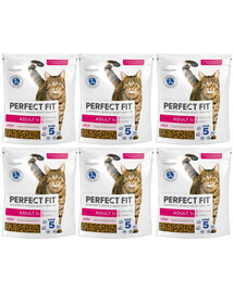 PERFECT FIT Adult 1+ 6x750 g sucha karma pełnoporcjowa dla dorosłych kotów bogata w świeżego łososia